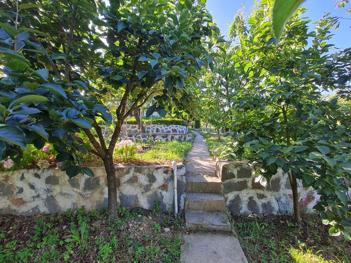 Bizim Ev Villa Sapanca Exterior photo