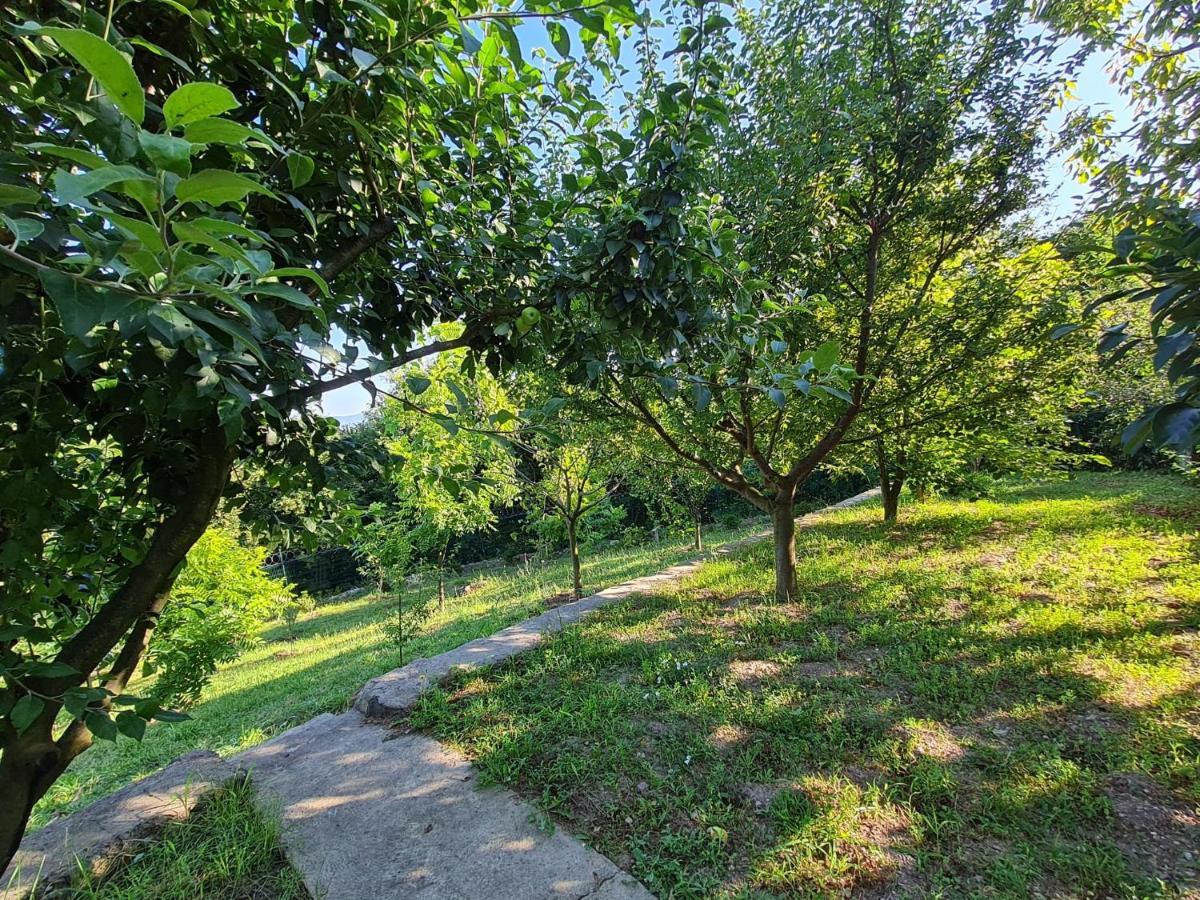 Bizim Ev Villa Sapanca Exterior photo